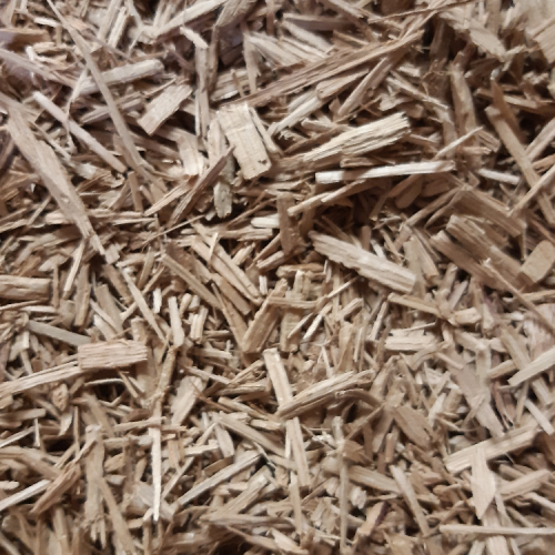 Chard Oak Chip